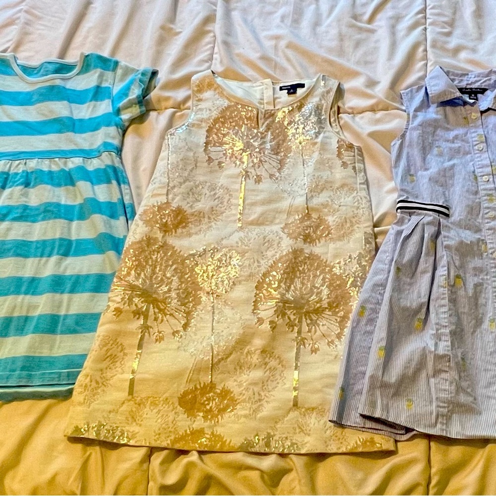 Girls Size 8/10 Dress Bundle: Brooks Brothers GAP & LL Bean